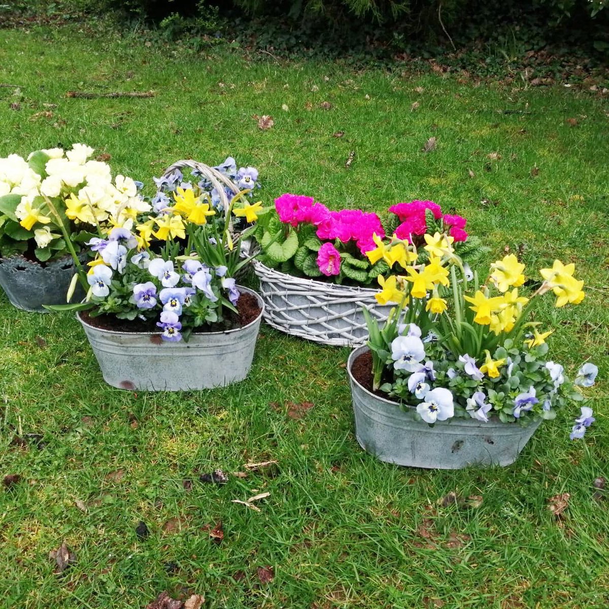 Hay Markets Ltd tweet media