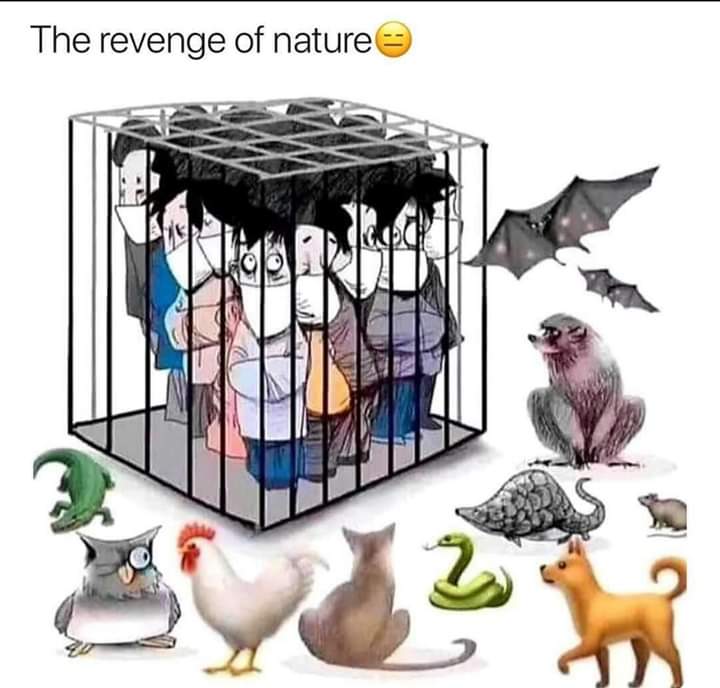 Rocks984's tweet photo. #Now its true Nature always return back...!! https://t.co/BCmHyjS5wm