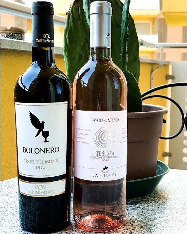 aportaluppi's tweet photo. Grazie @tannico.it.
•
•
•
#milano #milan #Tannico #wine #winelover #winetasting #winelovers #winetime #wineporn #winedelivery #winestagram #vino #italia #italy #vinoitaliano https://t.co/X5kmK5rZPU