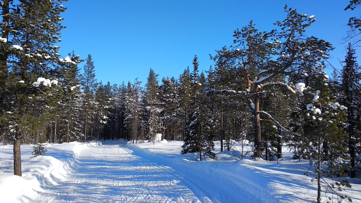 ThirstOfSpeed's tweet photo. В поисках снега! #khibiny #apatity #skiing https://t.co/OUszolNDTX