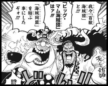 麦わらの一味の11人目の仲間予想 役割やメンバーを考察してみた テレビっ子は今日もゆく