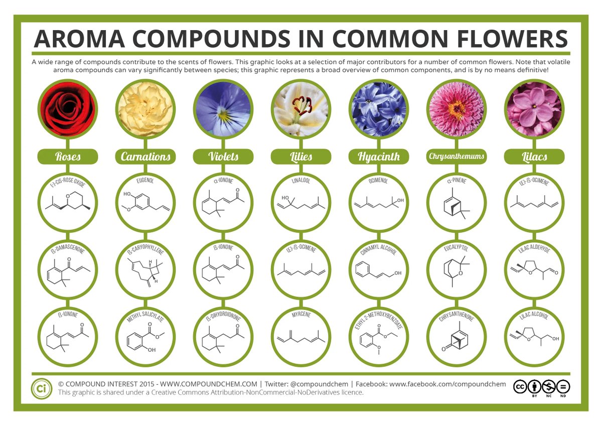 Yesterday was the first day of Spring (in the Northern Hemisphere) and today is #NationalFragranceDay – so here's a look at the key compounds in the aroma of selected flowers: compoundchem.com/2015/02/12/flo…