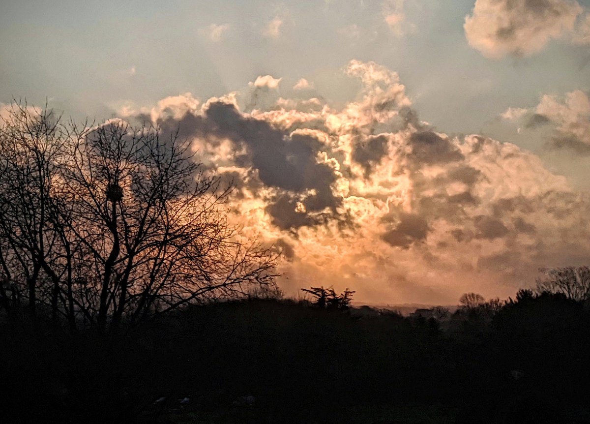 Tripl3Art's tweet photo. We might not be able to head out as often as we'd like right now but we can still enjoy beautiful sights, like this morning's sunrise.
Hope you all #HaveAGoodDay, and look out for each other.
#WeAreInThisTogether #BeKind 
#amateurphotography #googlepixel2xl #sunrise #newday 🌞 https://t.co/zh4TfHWz7U