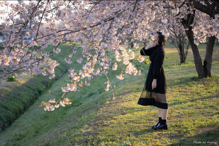 ___yuu99's tweet photo. 花びらの落ち方以上に日々感じることはたくさんあるよねって話

#ポートレート #被写体希望
 #カメラマンさん募集 #さくら https://t.co/SRNgT9nrZu
