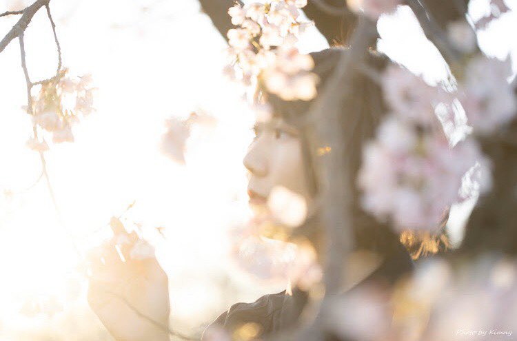 ___yuu99's tweet photo. 花びらの落ち方以上に日々感じることはたくさんあるよねって話

#ポートレート #被写体希望
 #カメラマンさん募集 #さくら https://t.co/SRNgT9nrZu
