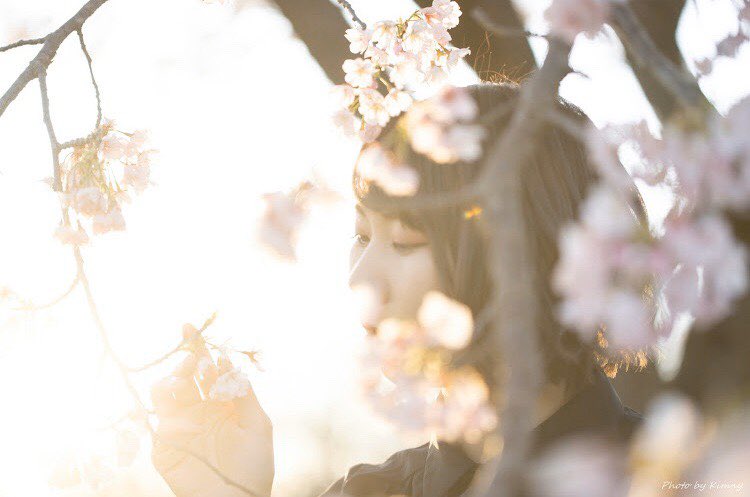 ___yuu99's tweet photo. 花びらの落ち方以上に日々感じることはたくさんあるよねって話

#ポートレート #被写体希望
 #カメラマンさん募集 #さくら https://t.co/SRNgT9nrZu