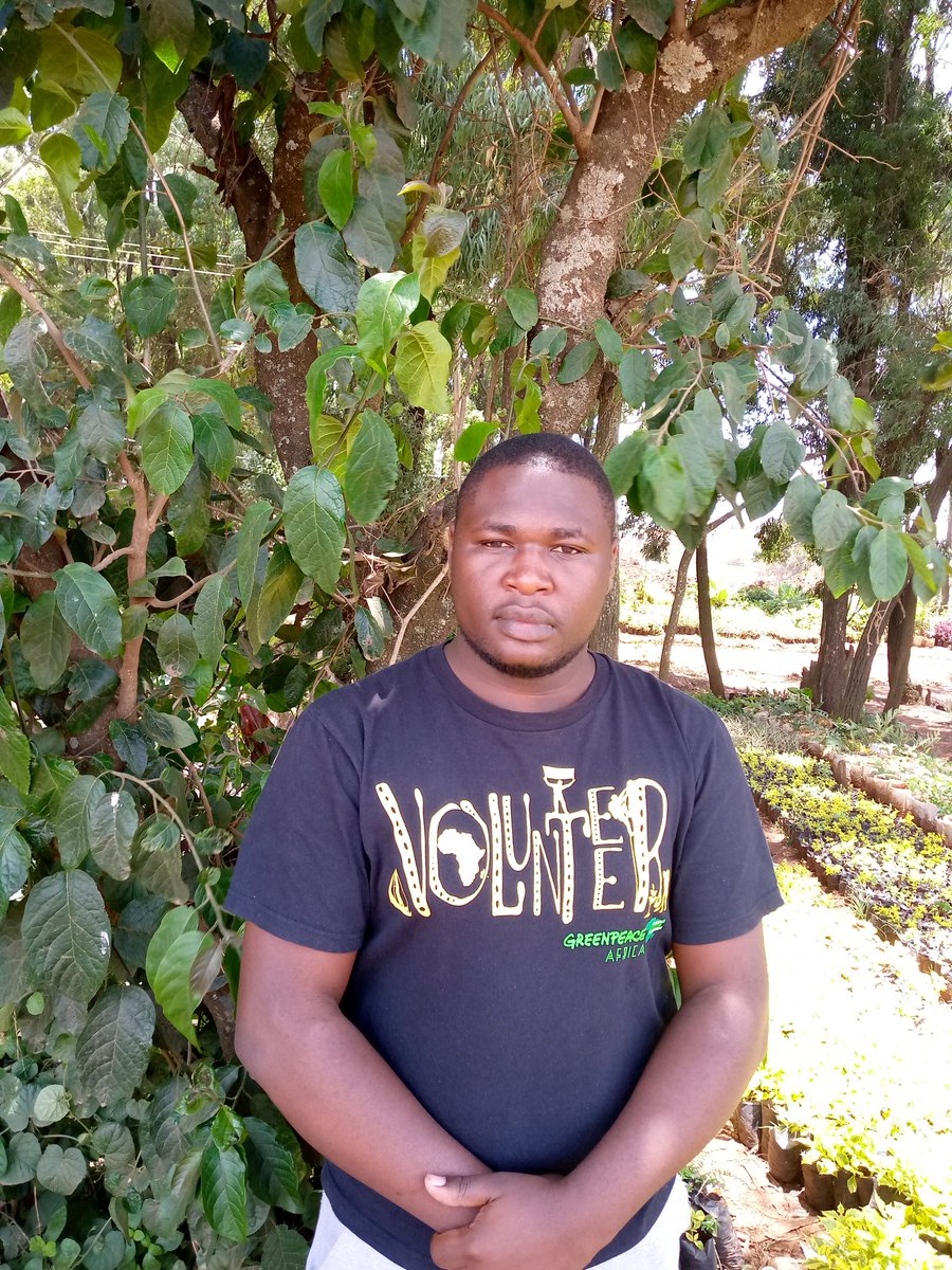 Khalid_Silver07's tweet photo. #WorldForestDay Trees also lower the air temperature and reduce the heat intensity by providing good shade @gp_kenyagroup @angeljkyalo @KeForestService @Fibanda1 #treewashing #realforest https://t.co/kOYbdhxVbB