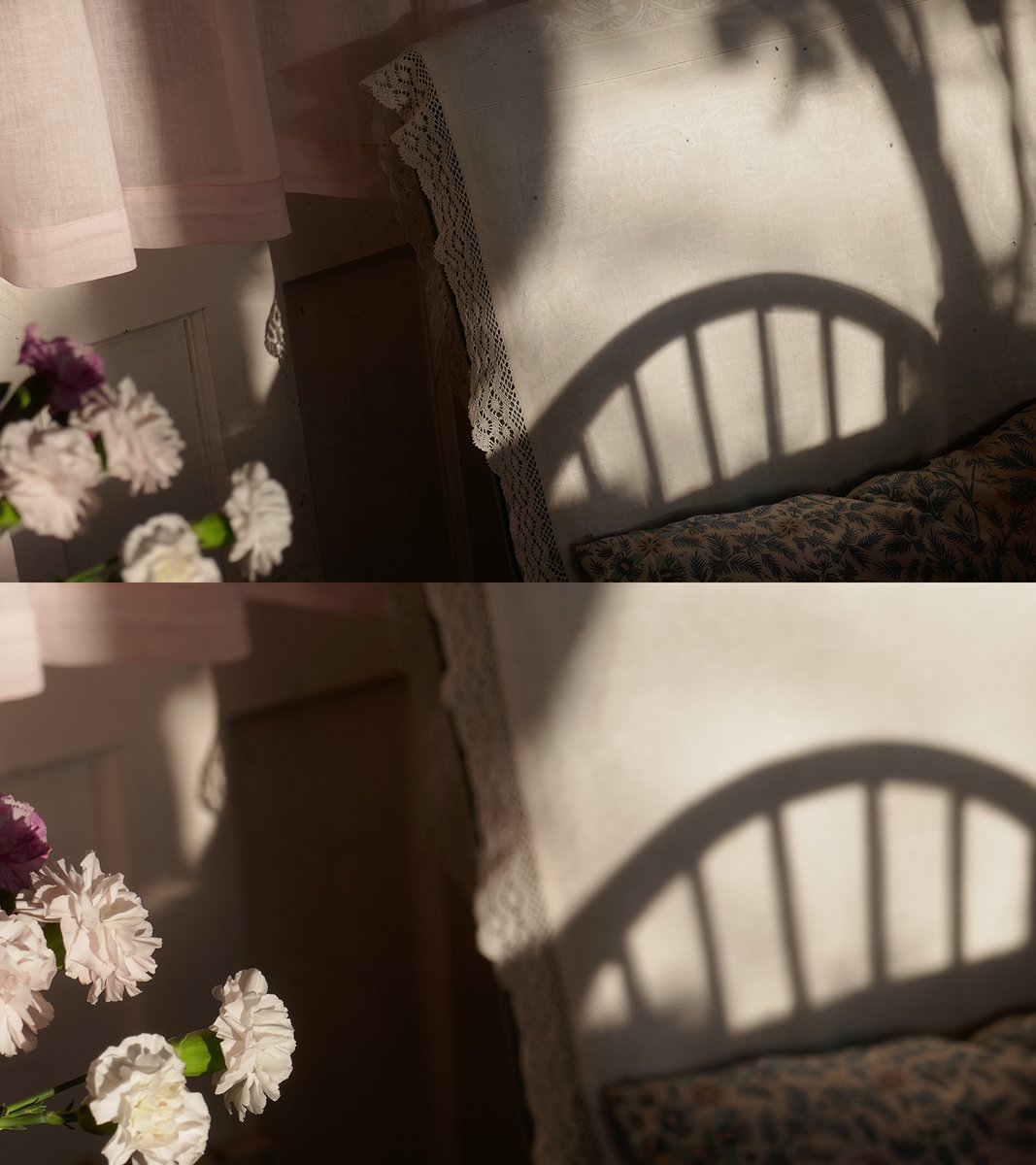 2 ways of looking
#DACindoors #photo #homeiswheretheartis #homeiswherethedogis <a href="/DACymru/">Disability Arts Cymru</a>