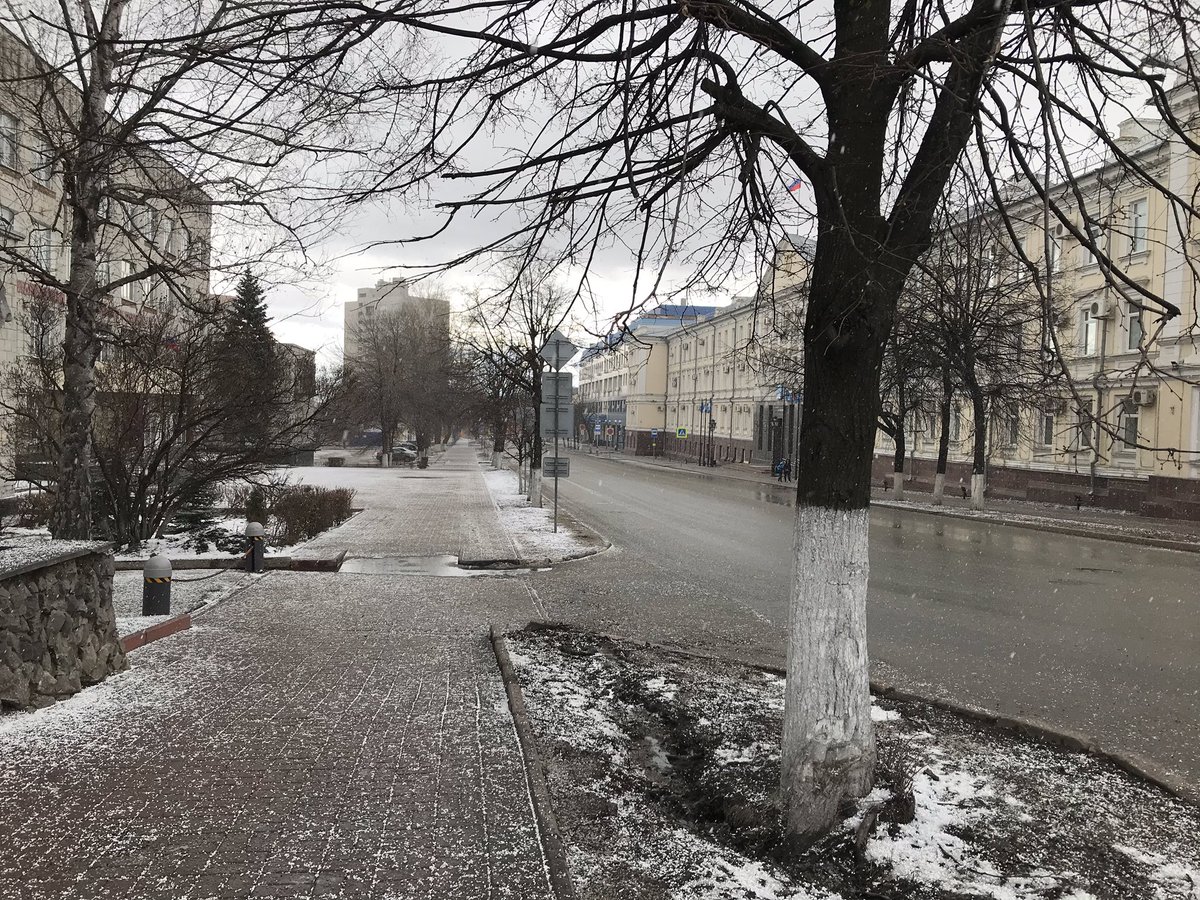 Дмитрий Ежов tweet media