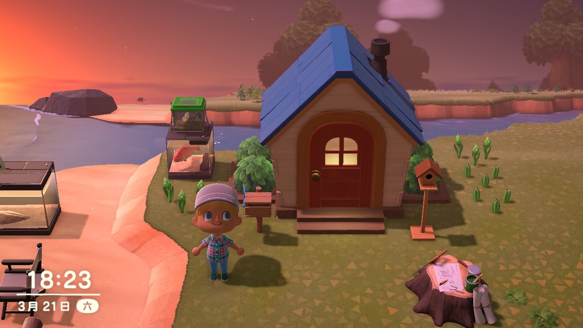 Shailtoe tweet media