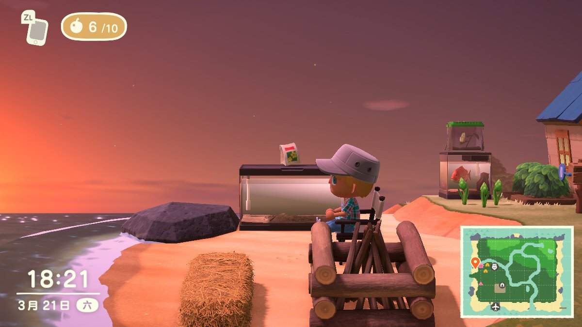 Shailtoe tweet media