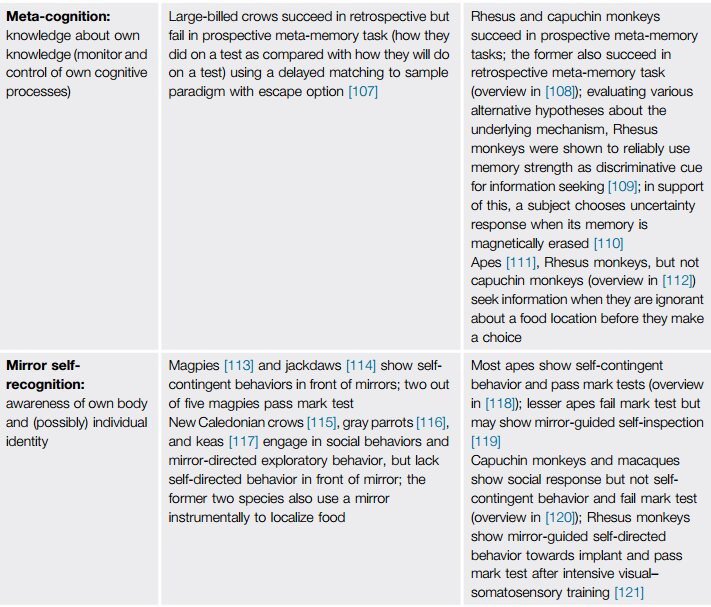 It sounds like a sci-fi film plot: A lineage of dinosaurs survives the comet and evolves ultra-high intelligence. But that's exactly what actually happened. Birds are dinosaurs. And some birds – corvids among them – have primate-level cognitive abilities.  http://cell.com/trends/cognitive-sciences/abstract/S1364-6613(16)00042-5
