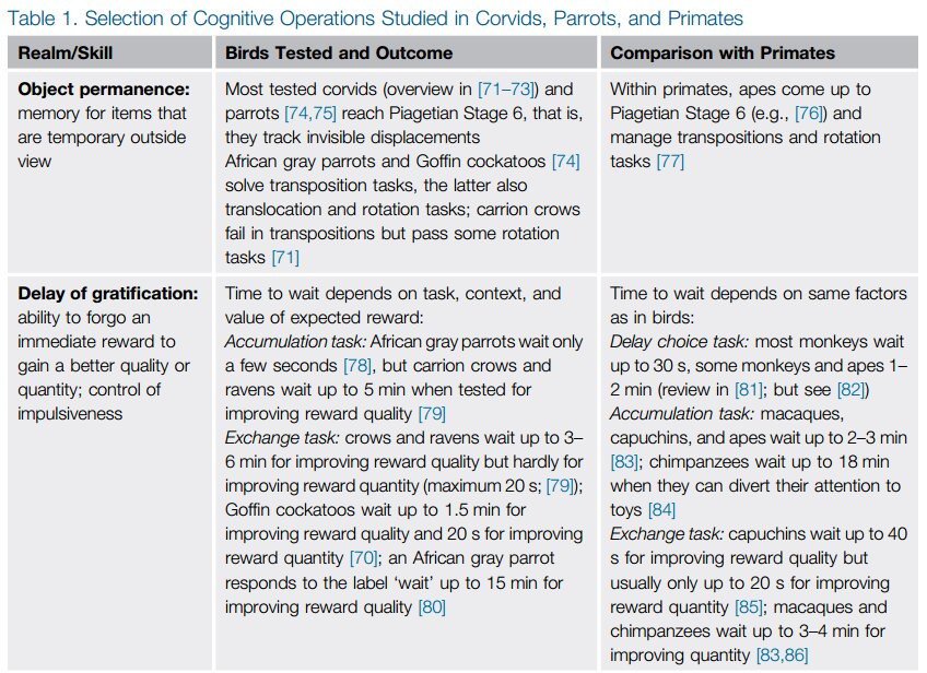 It sounds like a sci-fi film plot: A lineage of dinosaurs survives the comet and evolves ultra-high intelligence. But that's exactly what actually happened. Birds are dinosaurs. And some birds – corvids among them – have primate-level cognitive abilities.  http://cell.com/trends/cognitive-sciences/abstract/S1364-6613(16)00042-5