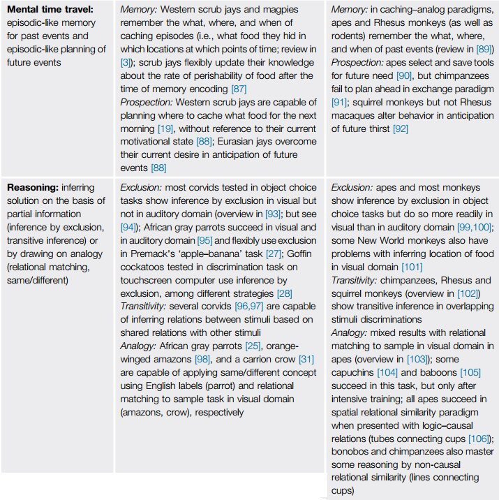 It sounds like a sci-fi film plot: A lineage of dinosaurs survives the comet and evolves ultra-high intelligence. But that's exactly what actually happened. Birds are dinosaurs. And some birds – corvids among them – have primate-level cognitive abilities.  http://cell.com/trends/cognitive-sciences/abstract/S1364-6613(16)00042-5