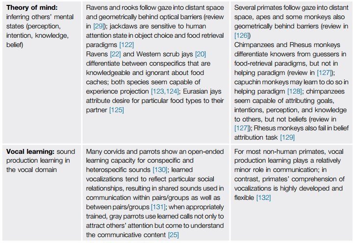 It sounds like a sci-fi film plot: A lineage of dinosaurs survives the comet and evolves ultra-high intelligence. But that's exactly what actually happened. Birds are dinosaurs. And some birds – corvids among them – have primate-level cognitive abilities.  http://cell.com/trends/cognitive-sciences/abstract/S1364-6613(16)00042-5