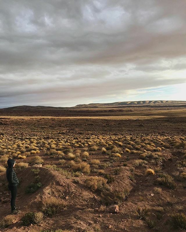 PipLeon's tweet photo. While you’re all busy doing the right thing and staying indoors (if your work allows it) drop a line to your freelancer friends. Ask if they’re okay and send them an amusing gif or something! Or go old school and send them a letter. Or try smoke signals … https://t.co/NzWopfSq82 https://t.co/TgrbEzrTAr