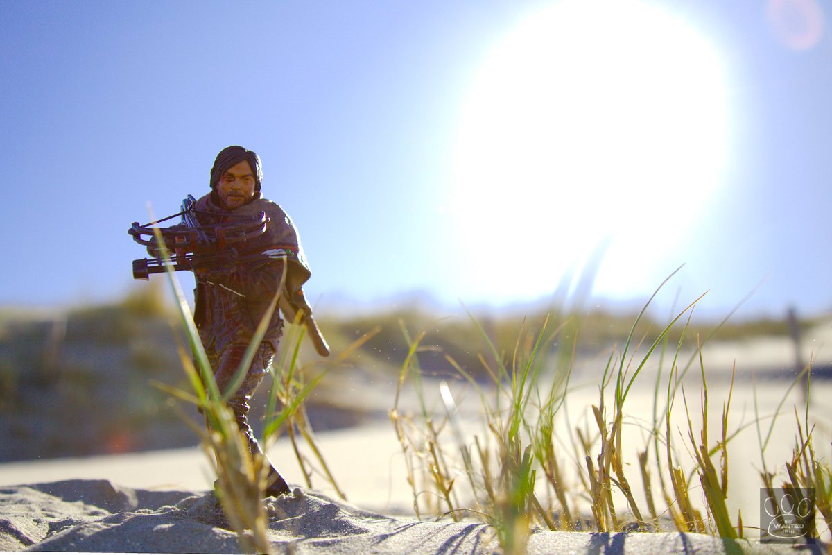 brigittedechow's tweet photo. Morning at the beach shooting me some Daryl. @WalkingDead_AMC @wwwbigbaldhead https://t.co/BVolt8y7o2