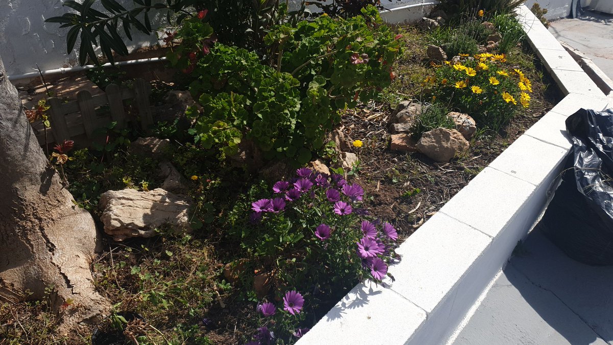 albert_gama's tweet image. El meu confinament no està tan mal
#privilegis de viure als pobles.