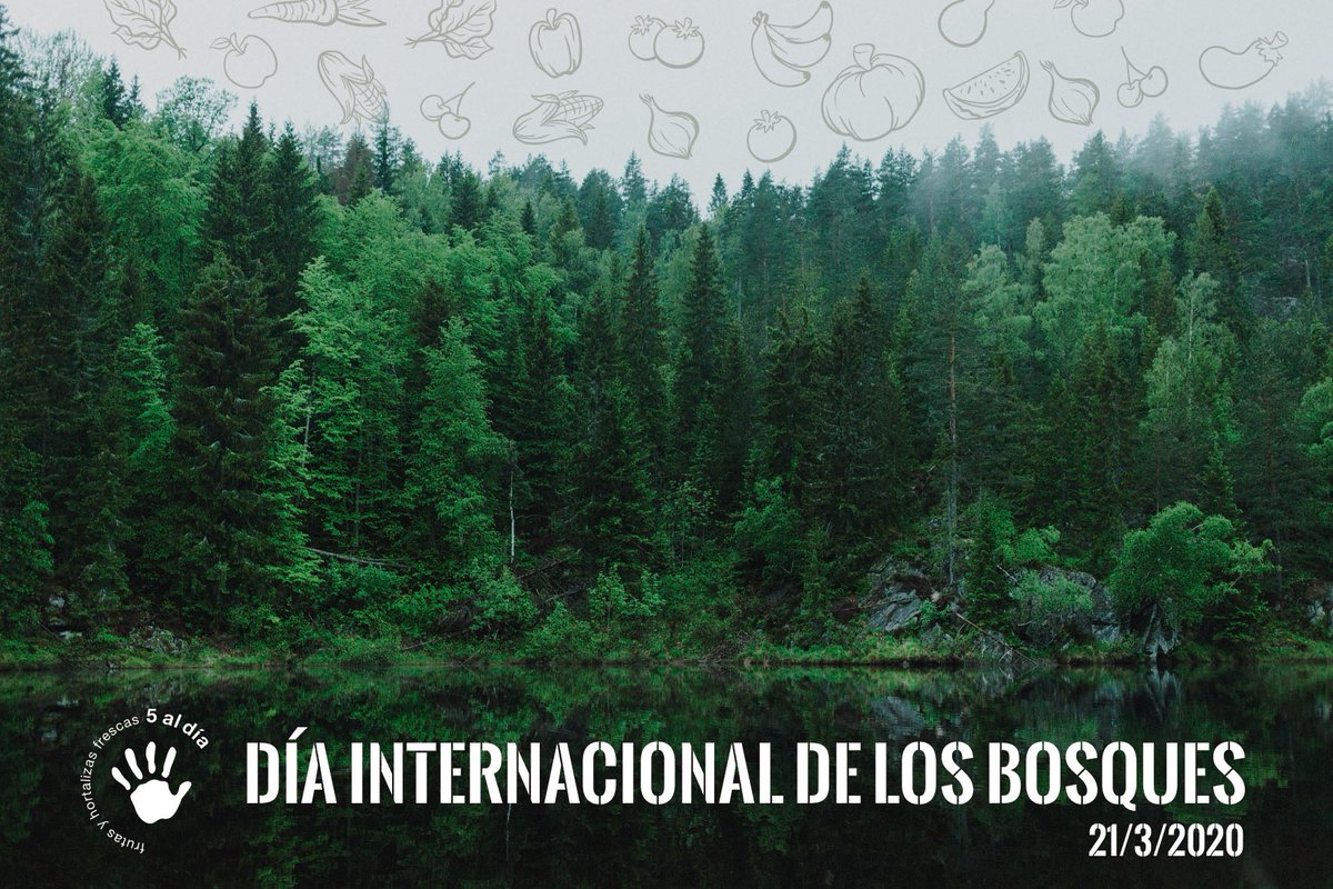 5aldiaspain's tweet photo. Hoy también nos unimos a la celebración del #DíaInternacionaldelosBosques 🌳🌲🌳 Los bosques cubren un tercio de la superficie terrestre y juegan un papel fundamental en la vida del planeta. Cuidémoslos❤️. #Practicael5🖐 #Yomequedoencasa https://t.co/unxKyxhWua