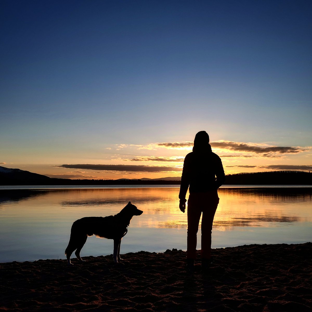 Volteral's tweet photo. Social distancing last night at #lochmorlich and what a #springequinox2020 #sunset https://t.co/iTS7LximbU