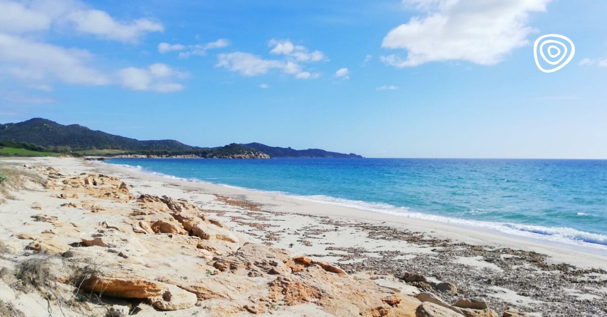 #21marzo #accadeoggi è #Primavera🌸ma anche in questo caso il #Tiliguerta sembra aver anticipato i tempi ed essersi catapultato direttamente...in #estate🌞insieme con i #profumi, i colori ed i prodotti tipici <a href="/comunemuravera/">Comune di Muravera</a> #Sardegna che torneranno più #belli e forti di prima😊