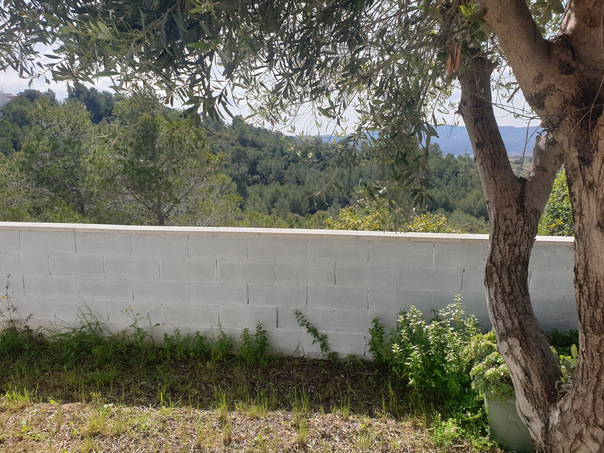 albert_gama's tweet image. El meu confinament no està tan mal
#privilegis de viure als pobles.