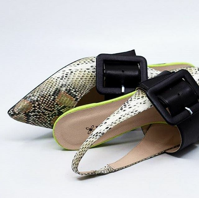 ProsperineFlats's tweet photo. 🐍 Do you like it? - Prosperine SS20 #Prosperine #ProsperineShoes #Flats #Ballerine #FlatsShoes #MadeInItaly #LotsOfCare https://t.co/qFmmUgc87U https://t.co/nz3DX0mifZ