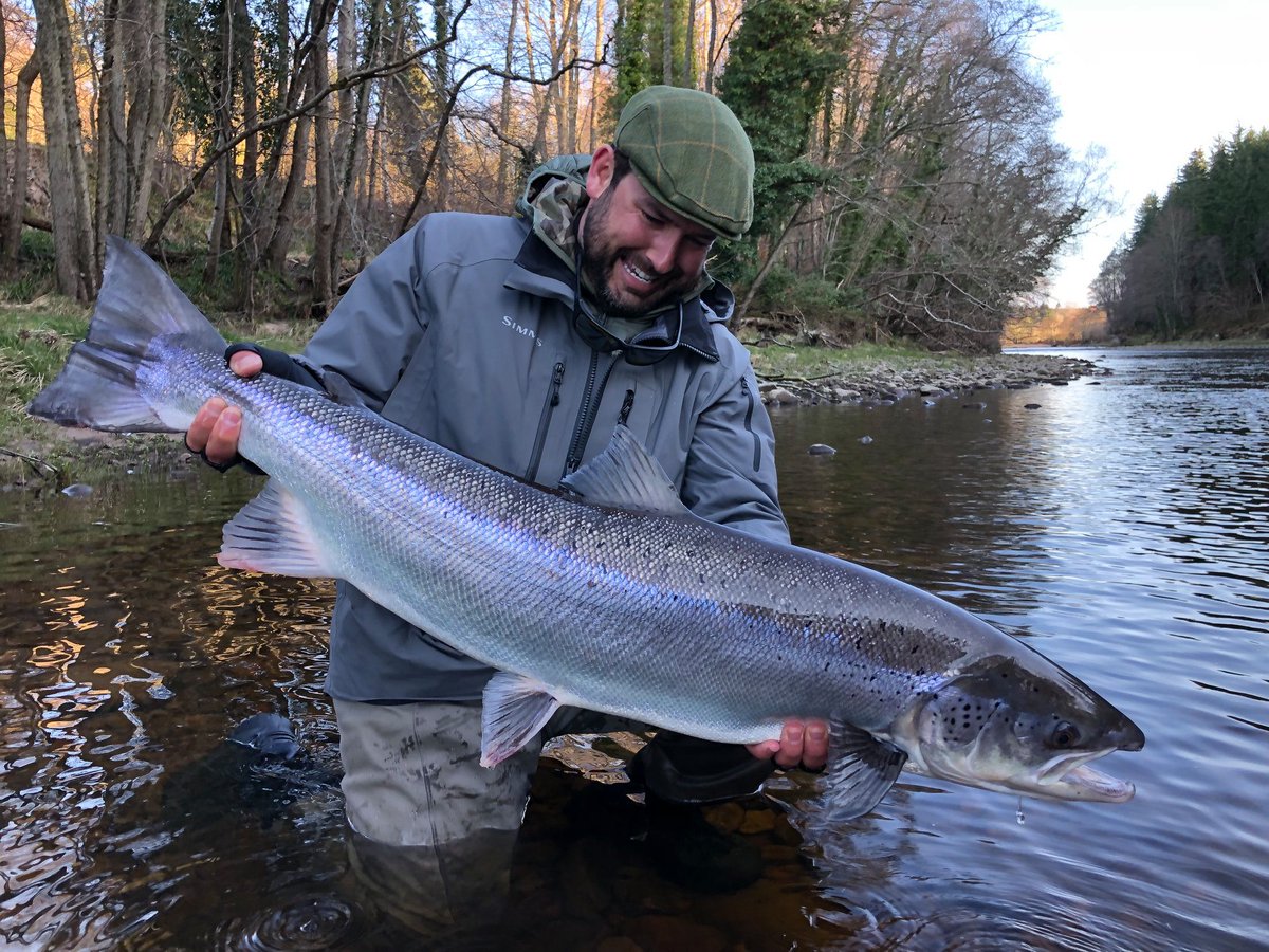 OfftheScale_mag's tweet photo. Think we're all in need of a little inspiration &amp; distraction at the moment, so here's a monster #salmon from #Scotland's River Findhorn yesterday! Estimated at 30lbs &amp; released by Eugene Burzler to continue its amazing journey. #fishofalifetime #CatchandRelease https://t.co/q8XM9lpEIE