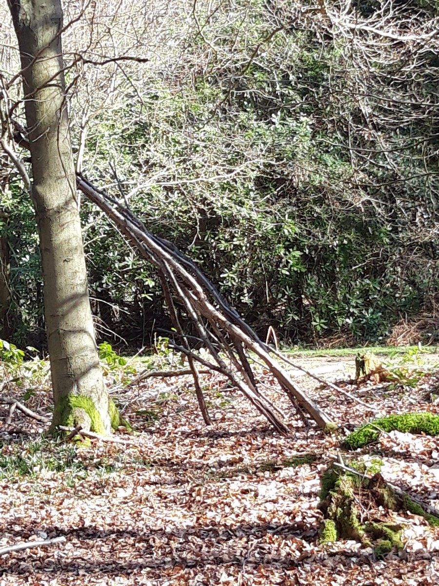 Rosalegacy's tweet photo. Practicing social distancing whilst picking up some rays. I can confirm dens are constructed at least two meters apart! https://t.co/xs0KJ6RmxE