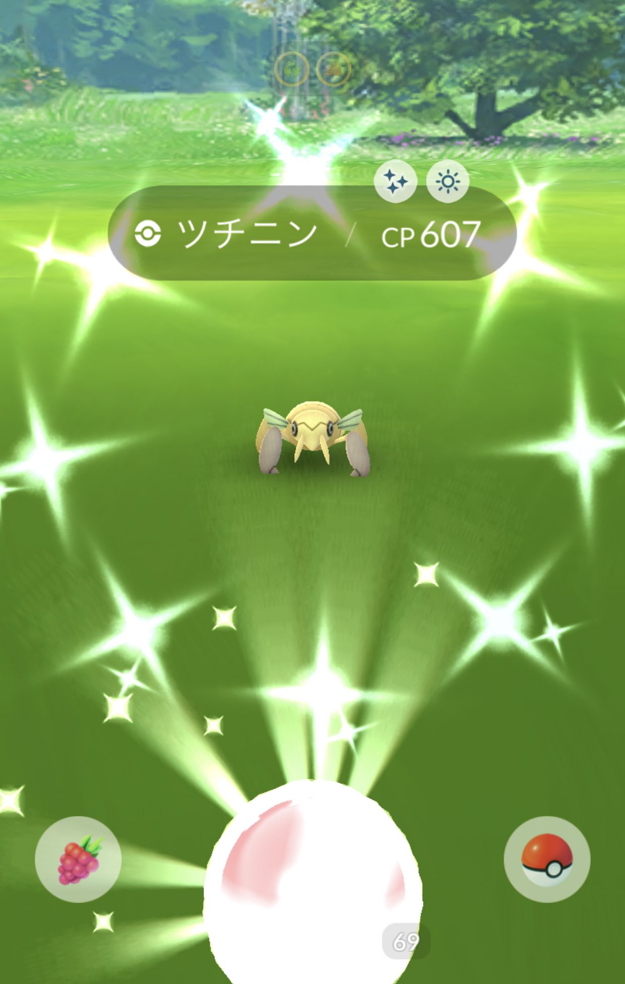 アール ポケモンgo ゲノセクト100からの コバルオン色違い ツチニン色違い しっかりツチニンもキラにしていただきました やっぱりポケモンgoってこれだよね ポケモンgo T Co I4snsj047m Twitter