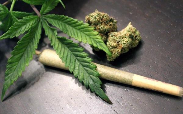 AmeyawDebrah's tweet photo. Ghana legalises Cannabis for health and Industrial purposes https://t.co/lbhaBfPn6v https://t.co/3qKY7qyTSP