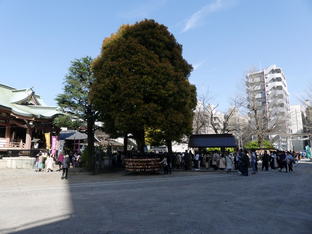 山谷堀公園