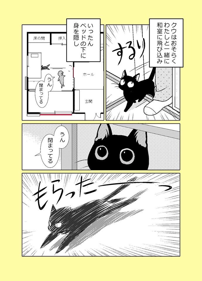 【ねこはねこかぶり】
第8話 ねこは忍(1/2)

どうもねこは人間と知恵比べするのが好きらしい。
#ねこはねこかぶり #黒猫クウ #ねこ漫画 