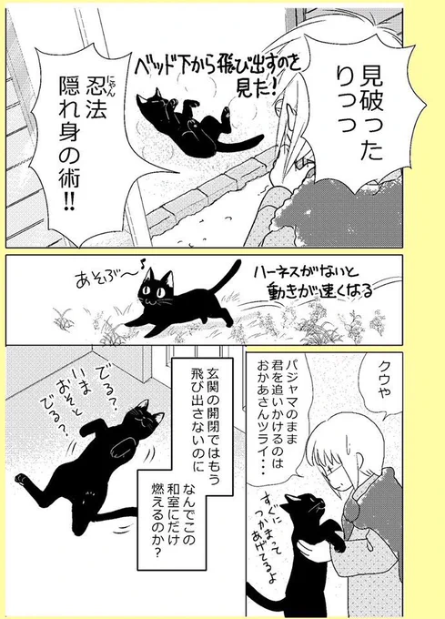 【ねこはねこかぶり】第8話 ねこは忍(2/2)人間も知恵を出す。だがしかし。#ねこはねこかぶり #黒猫クウ 