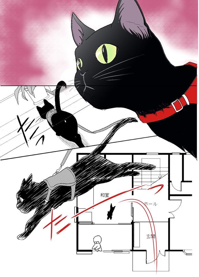 【ねこはねこかぶり】
第8話 ねこは忍(2/2)

人間も知恵を出す。
だがしかし。
#ねこはねこかぶり #黒猫クウ 
