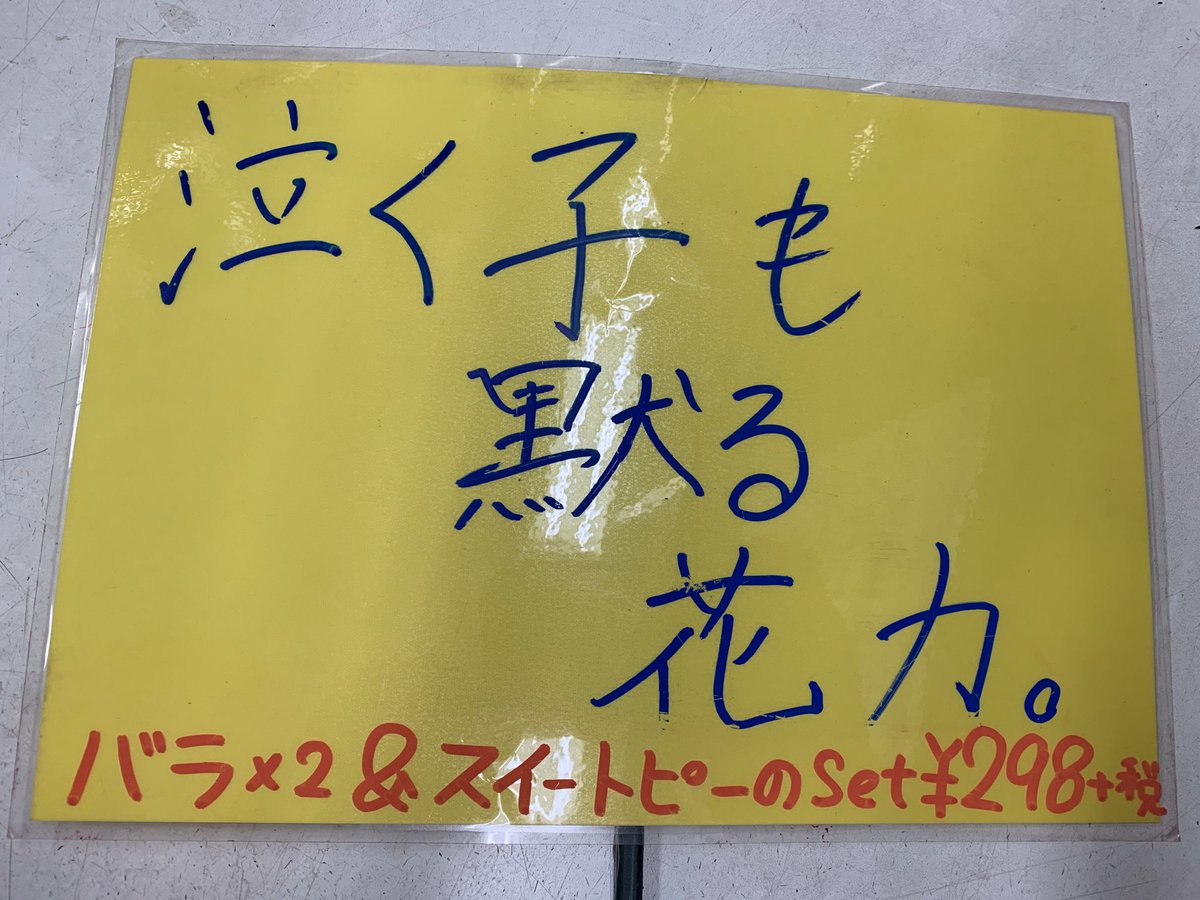 よったん 最近書いた花屋のポップです