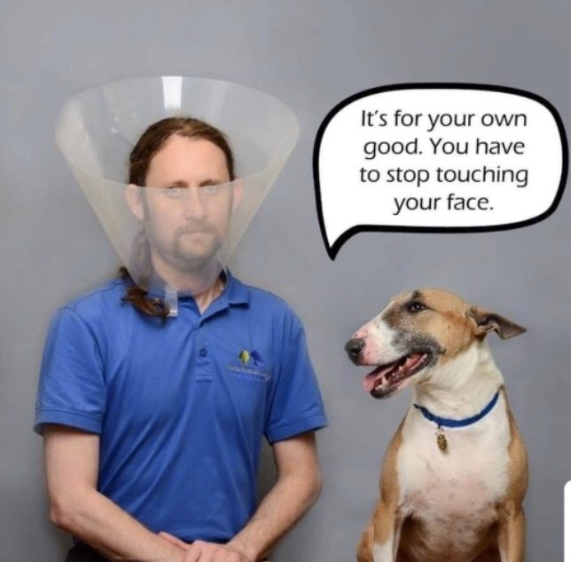 miketomalaris's tweet photo. Karma’s a bitch!!! #Covid_19 https://t.co/dEBnrU45V1