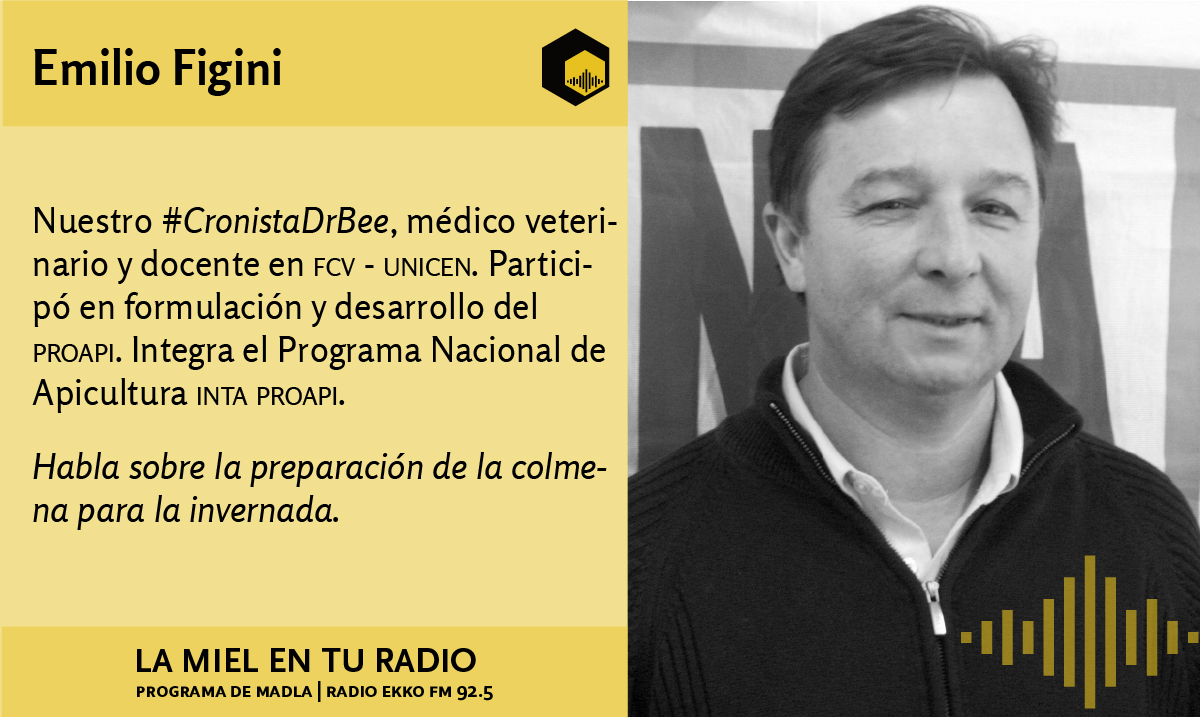 LaMielEnTuRadio's tweet photo. #EmilioFigini es nuestro #DrBee y hoy nos habla de la preparación de la colmena para la invernada.
En diferido mediante
https://t.co/9sGeWqzArf
@REDLACaf @intaargentina @INTAInforma @EspacioApicola https://t.co/wmTeu6FXFi