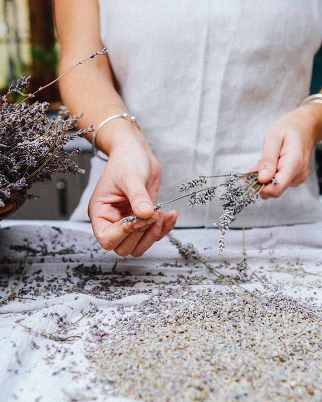 • Lavender Tea • .
As promised we are still into our Herbal Tea recipes this week. It’s been hard to get away from the news + social media but I’ve found that the longer I do it the calmer I feel
.
So this afternoon I will be sitting down and brewing… ift.tt/2Qzz6A1
