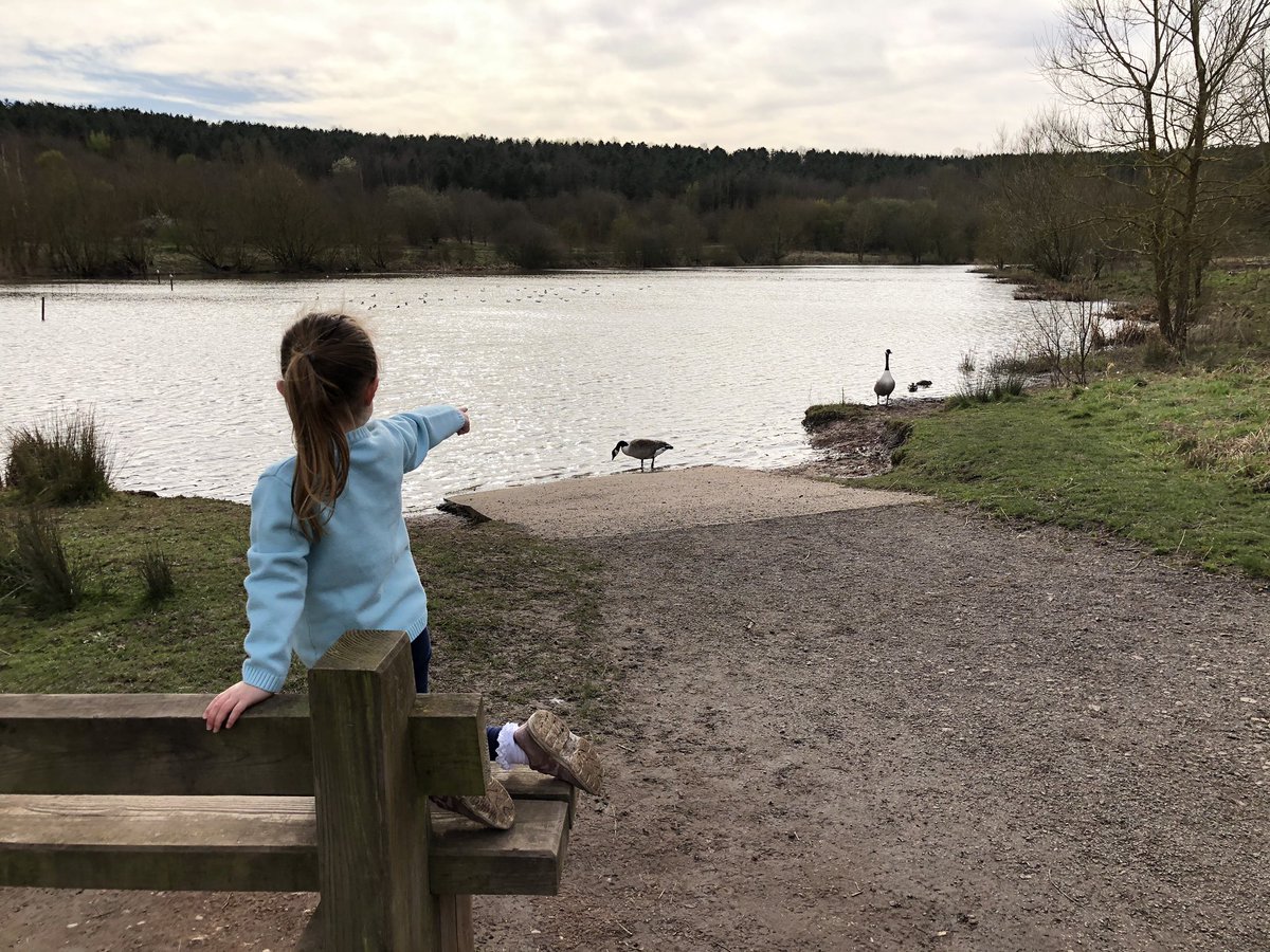 PakulaMark's tweet image. Morning run with the eldest daughter featuring daisy chain making, puddle jumping and exploring Little Red Riding Hood’s woods 🐺 💪#WitnessTheFitness #daddyanddaughter