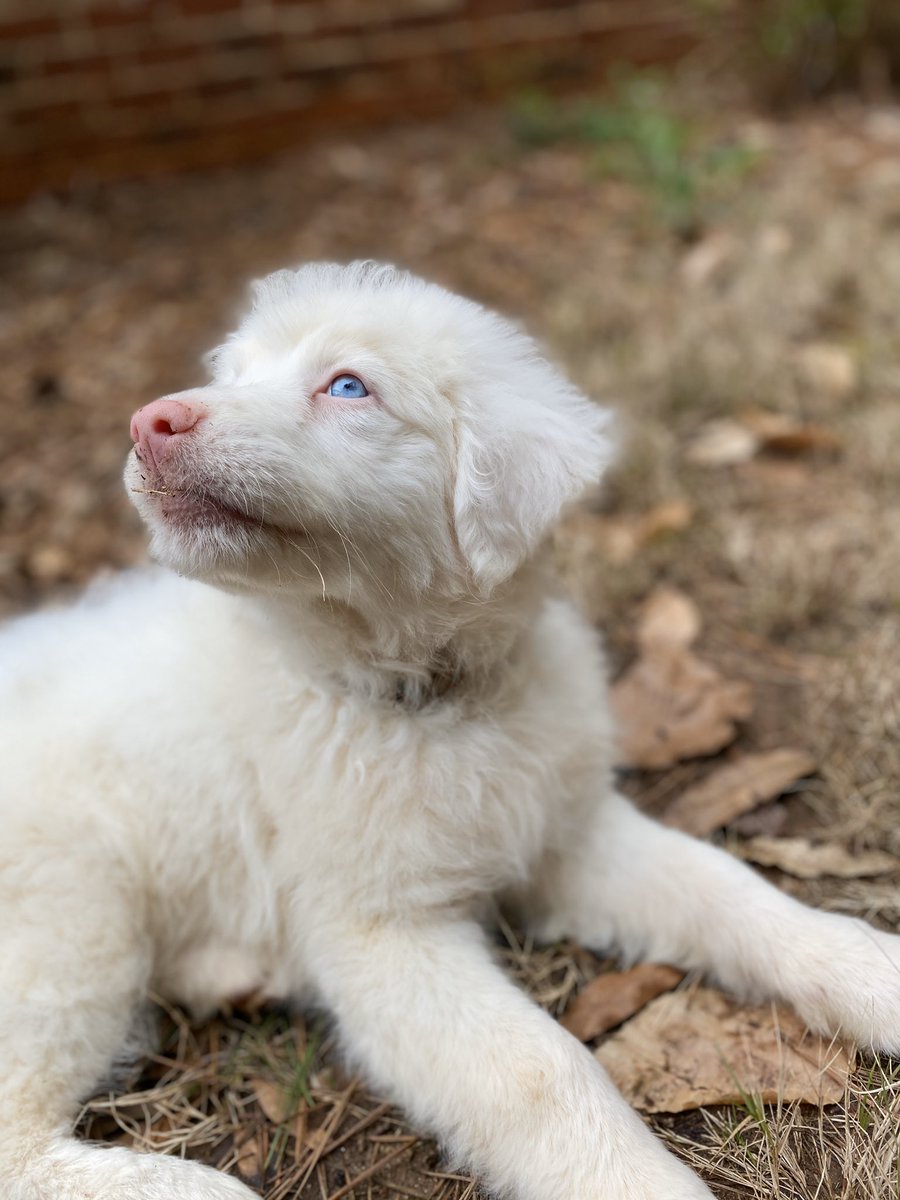 Mary Jo DiLonardo tweet media