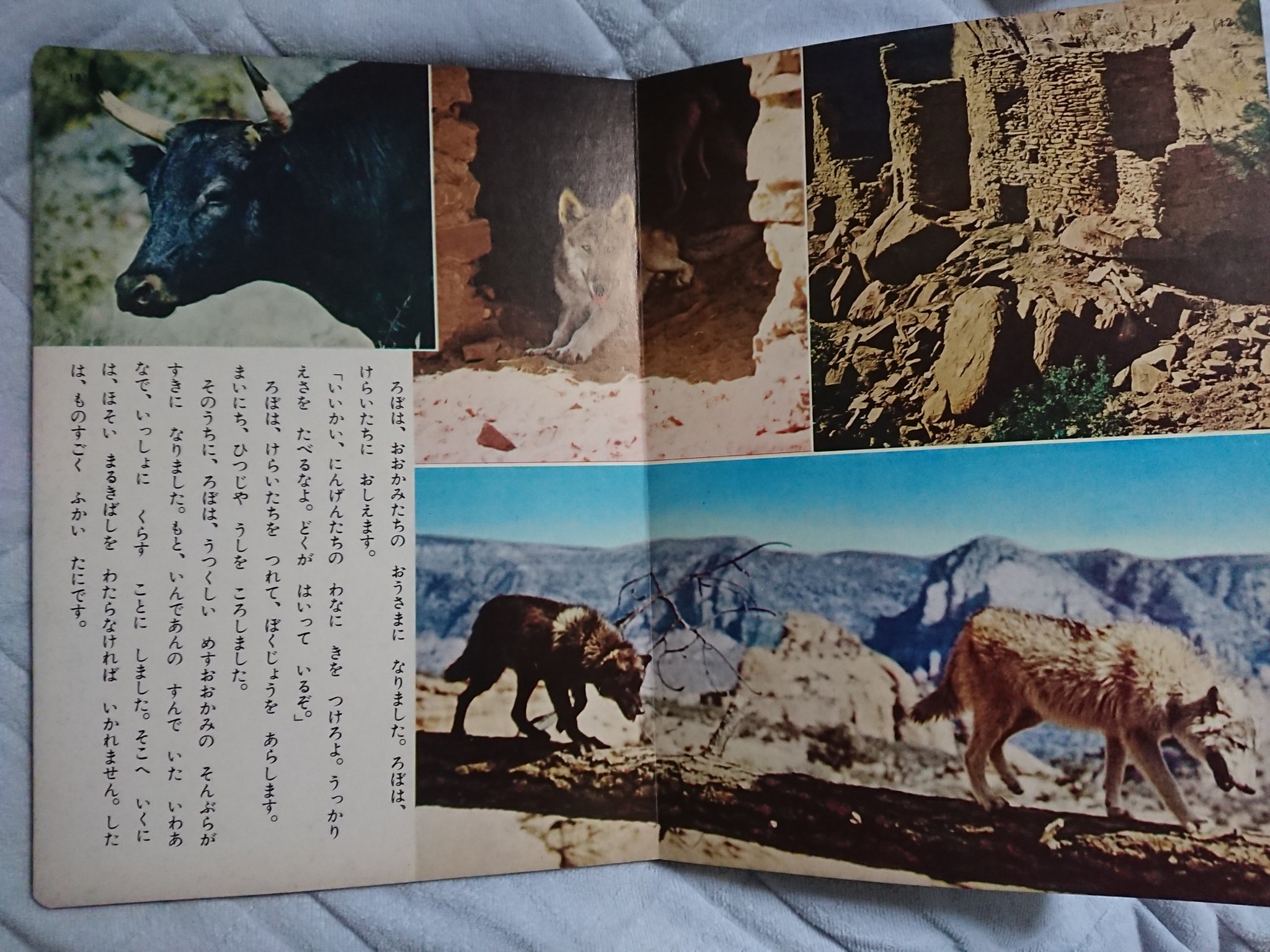 くまくま ディズニーが映像化したfgo鯖達の絵本 多分どれもマイナー 狼王ロボ ヘシアン ロボ ロボは別作品位内容が違う 力持ちのポール ポール バニヤン カウボーイの王者ビル 推測でリヨ鯖のアーチャー Fgo ディズニー T Co Wbw9iy4jd2 くまくま ディズニーが映像化したfgo鯖達の絵本 多分どれもマイナー 狼王ロボ ヘシアン ロボ ロボは別作品位内容が違う 力持ちのポール ポール バニヤン カウボーイの王者ビル 推測でリヨ鯖のアーチャー Fgo ディズニー T Co Wbw9iy4jd2