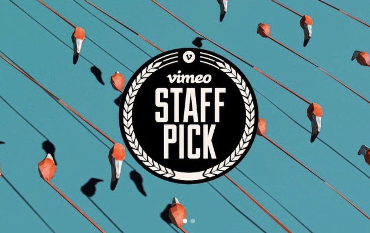dveinbcn's tweet photo. Hey hey hey! Good news as our flamingos are now #vimeostaffpick. Thanks @Vimeo! 🍾🍾🍾 https://t.co/f1BWp7kMGz