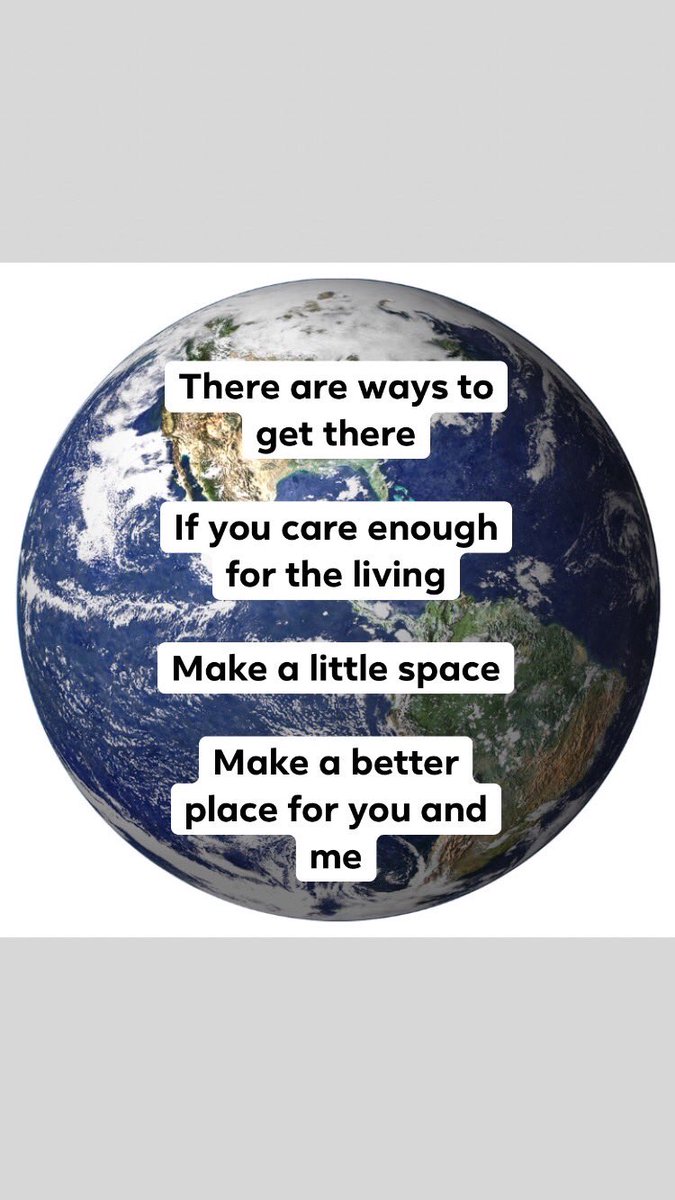 Ali Webster tweet media