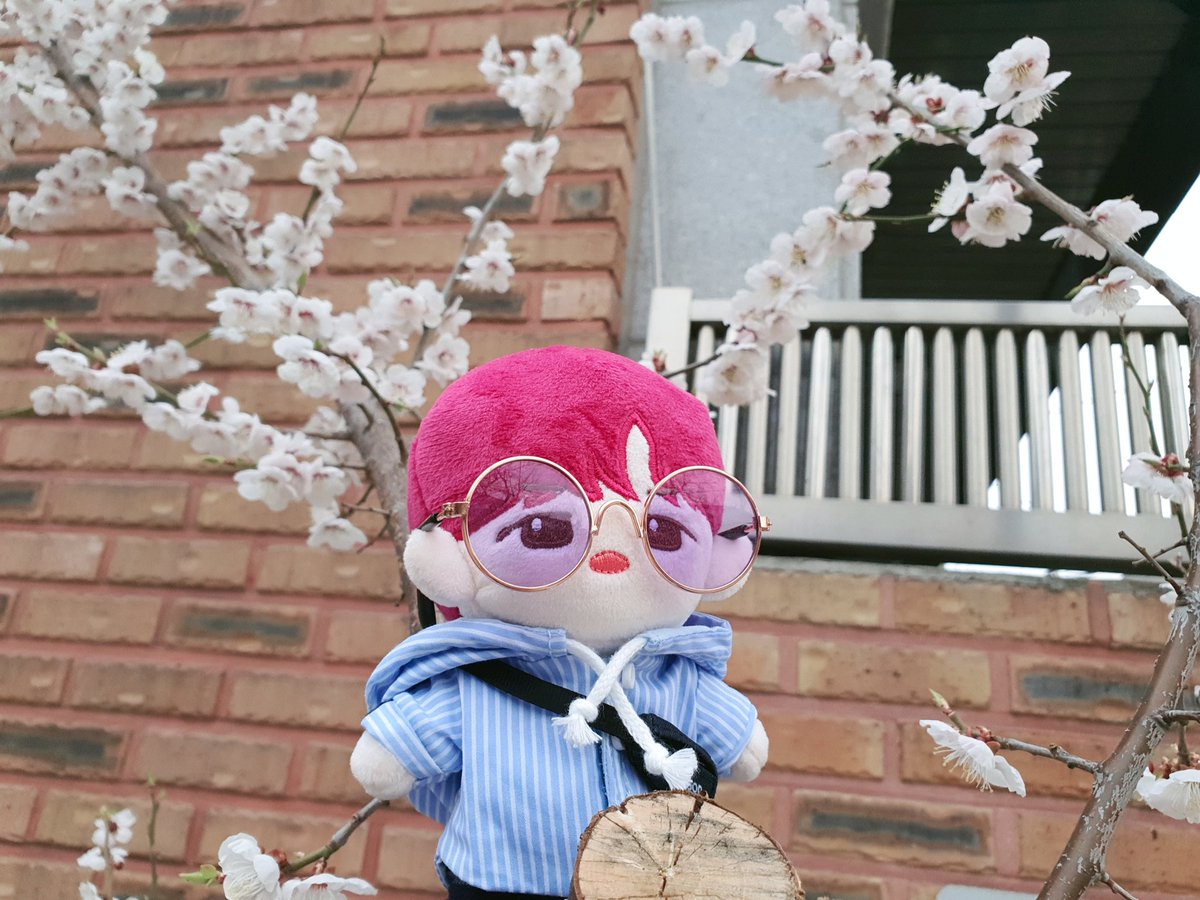 🌸봄날의 짼구🌸

#짼구 #방토짼구 #엘깅솜뭉치