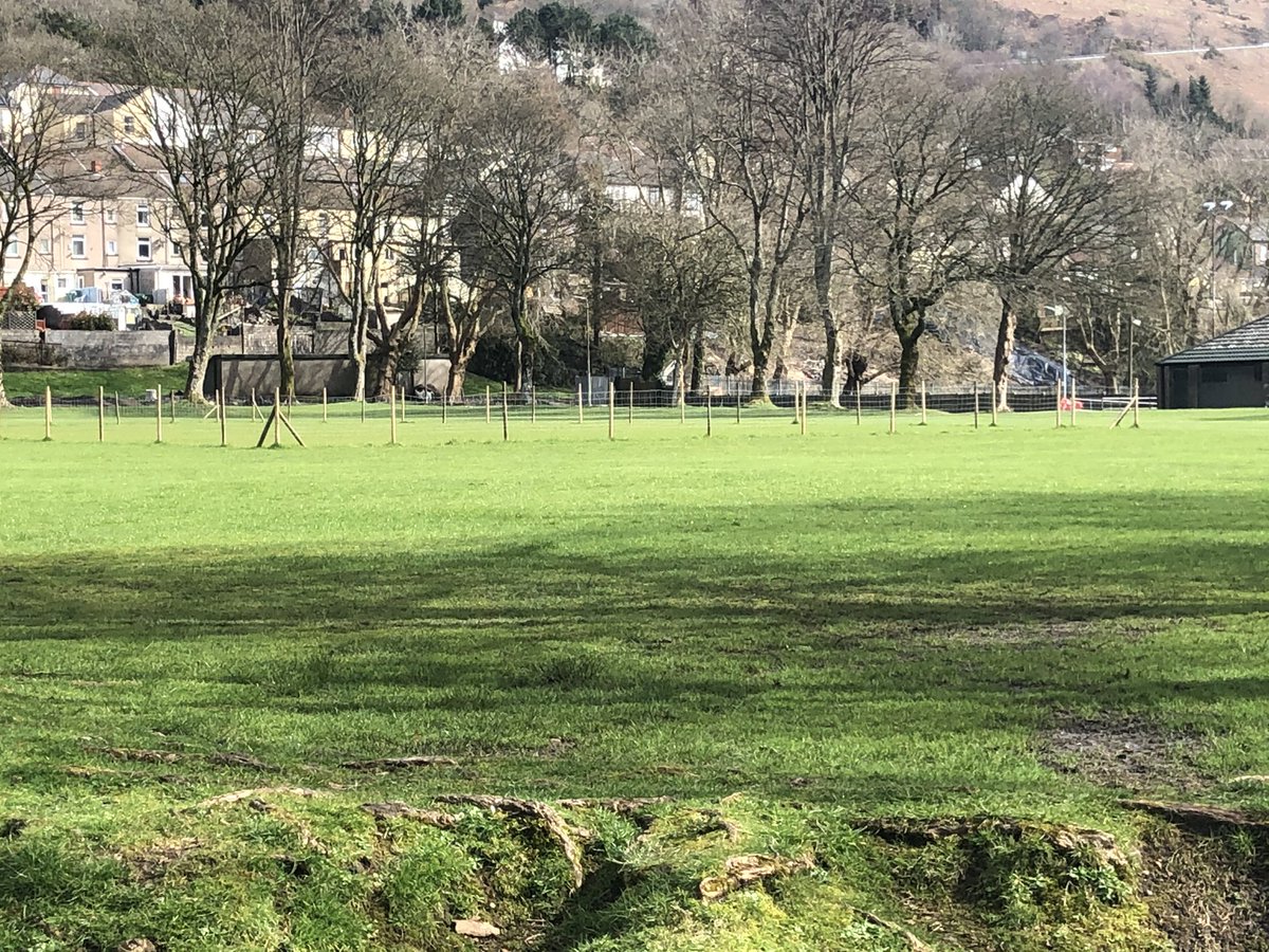 PorthCC's tweet photo. There she is the hallowed turf. #gelligaled https://t.co/avSHQ2YTpK