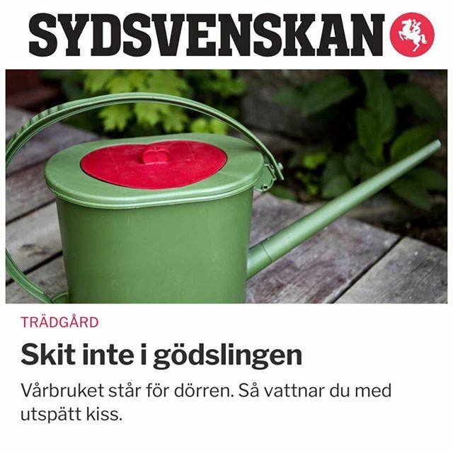 Skit inte i gödslingen 🌱
Vårbruket står för dörren. Grunden för en lyckosam odlingssäsong är en bra jord och rätt näring.
– Inled säsongen med en rejäl grundgödsling. Därefter kan växterna ”serveras mellanmål” i form av stödgödsling. Guldvatten är perfekt, säger experten Tin…