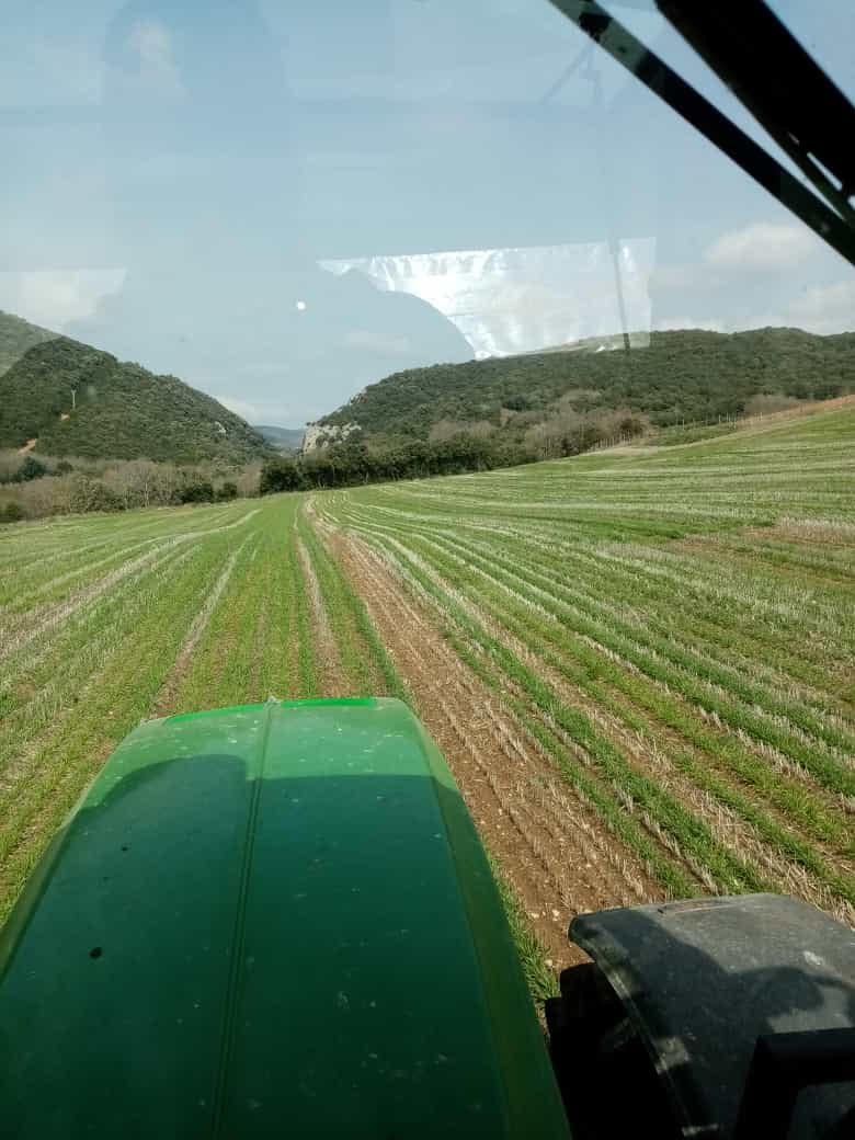 agroberfe's tweet photo. Dura competencia https://t.co/LfPZIWywai
