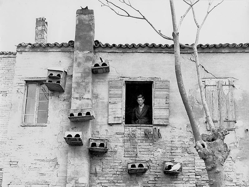 rmunoz's tweet photo. Estoy en otro tiempo,
un tiempo que dispone sus mañanas
en esta calle que yo miro, ignoto,
en esta gente fruto de otra historia.

Pier Paolo Pasolini | Imagen > Piergiorgio Branzi. https://t.co/1X3aLMEgiN