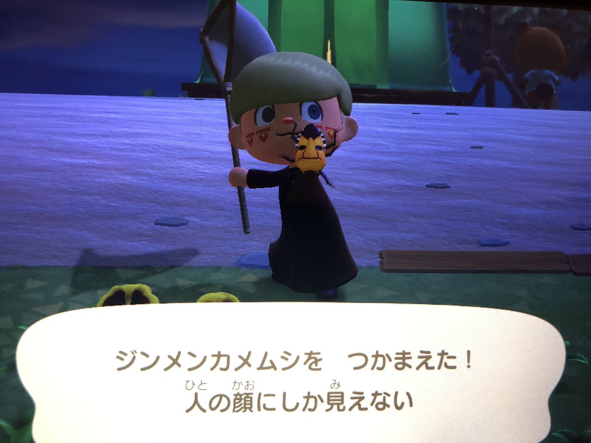 あつ 森 カメムシ あつ森 カメムシの値段と捕まえ方 出現時間 あつまれどうぶつの森 Documents Openideo Com